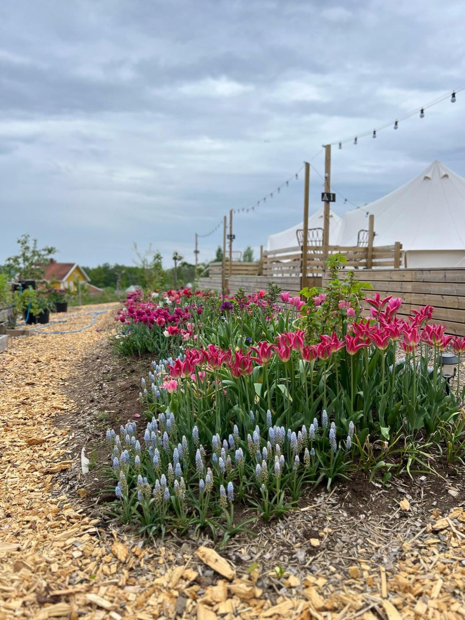 Vaettervy Glamping Hotel Habo Exterior photo